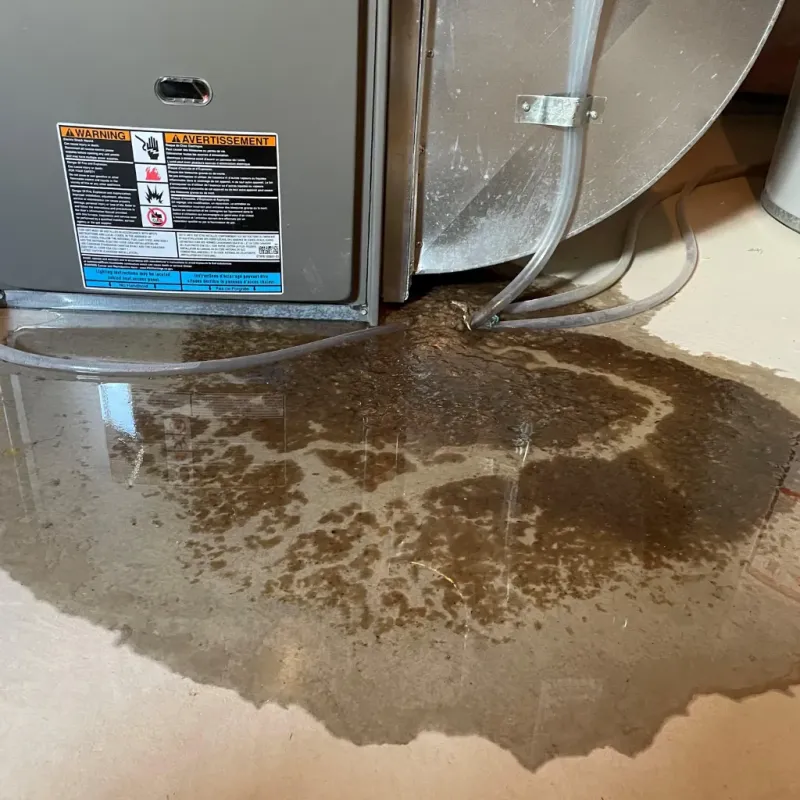 Appliance Leak Cleanup in Blount County, AL